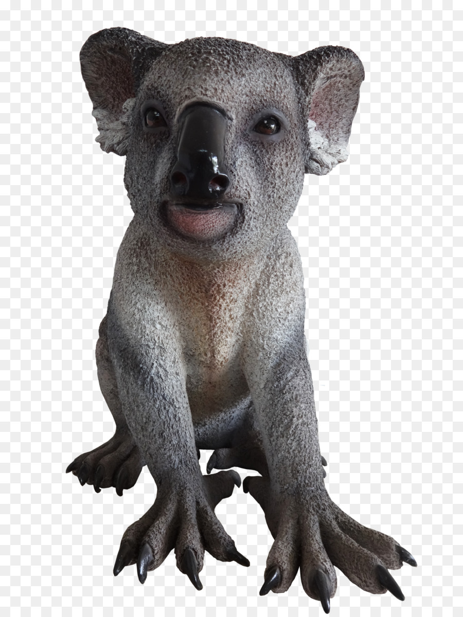 Koala，Marsupial PNG