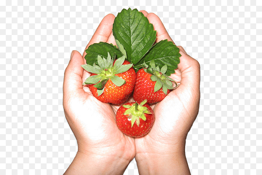 Fraises，Mains PNG