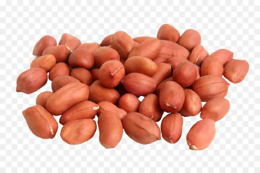 Cacahuètes，Noix PNG