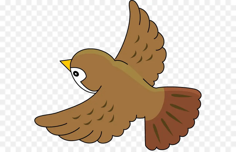 Oiseau De Dessin Animé，Oiseau PNG