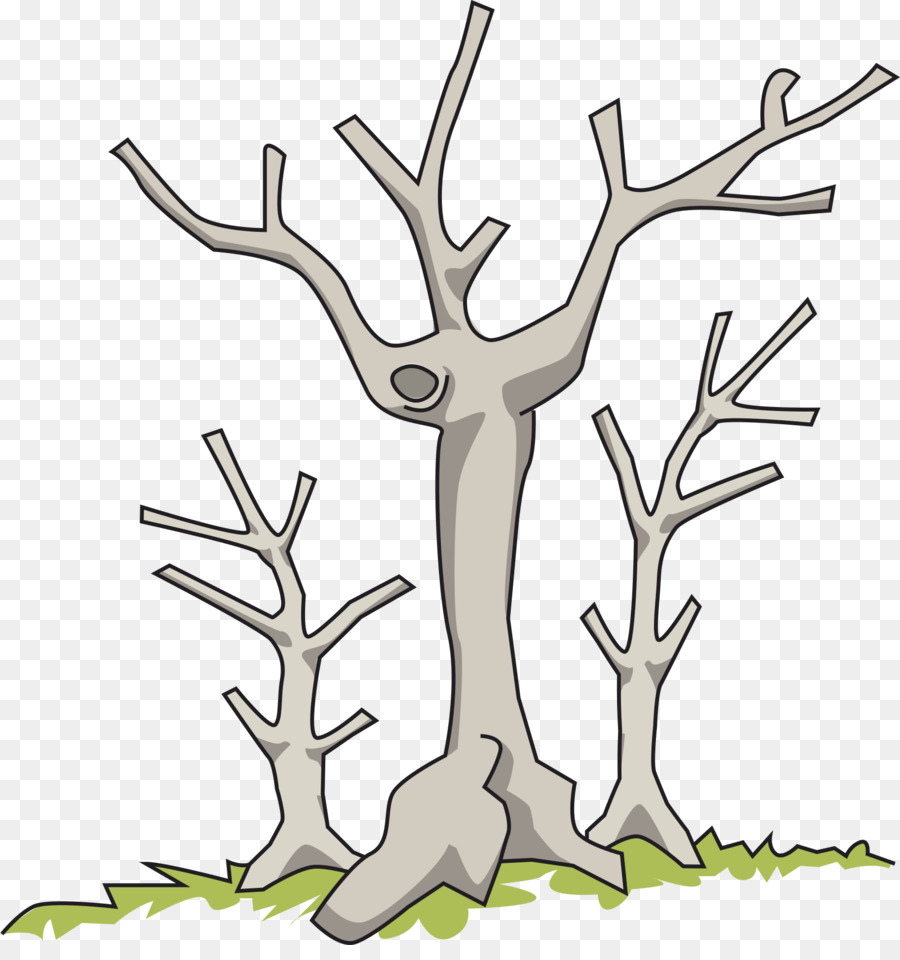 Arbre，Branche PNG