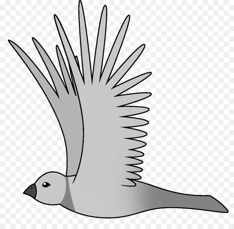 Oiseau Volant，Ailes PNG