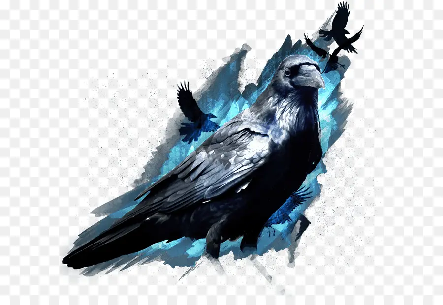 Corbeau，Noir PNG