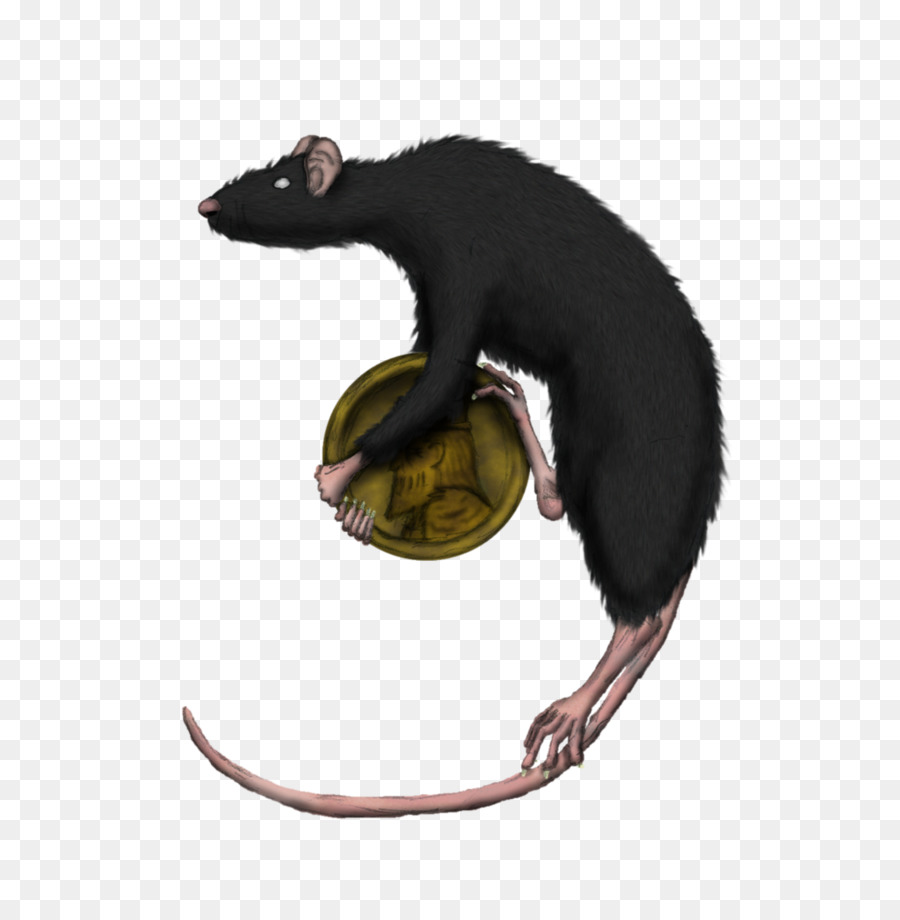 Symbole，Rat PNG