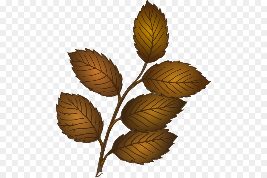 Bifurquer，Feuille PNG