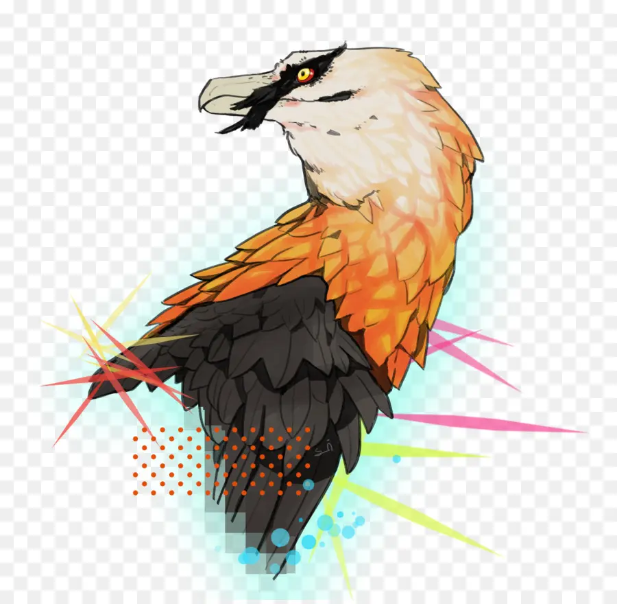 Vautour，Coloré PNG