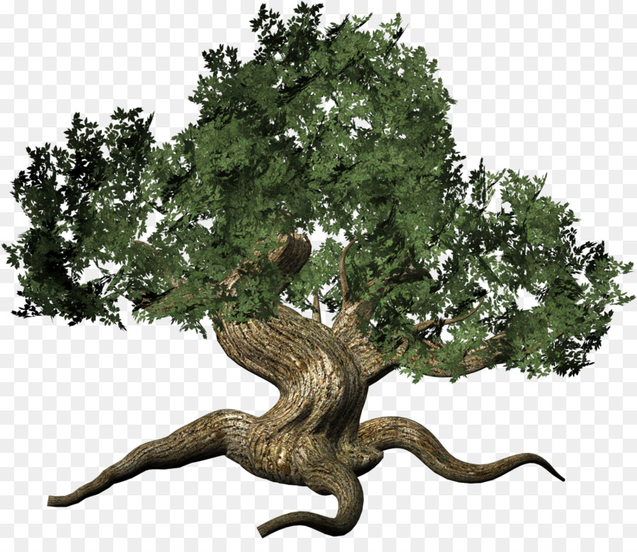 Arbre，Nature PNG