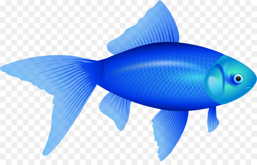 Poissons Tropicaux，Aquatique PNG