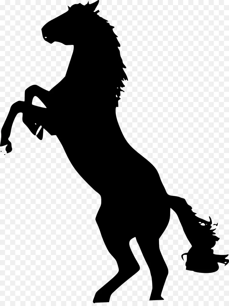 Cheval Noir，Silhouette PNG