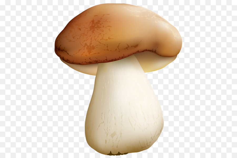 Champignons，Légume PNG