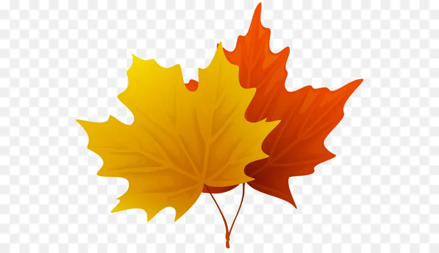 Feuilles，Automne PNG