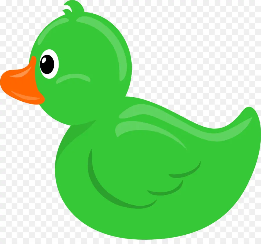 Canard Vert，Canard PNG