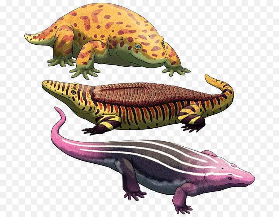 Lézards Exotiques，Reptiles PNG