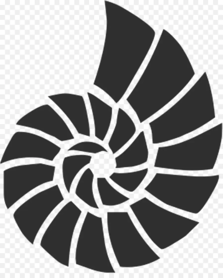 Coquille，Spirale PNG