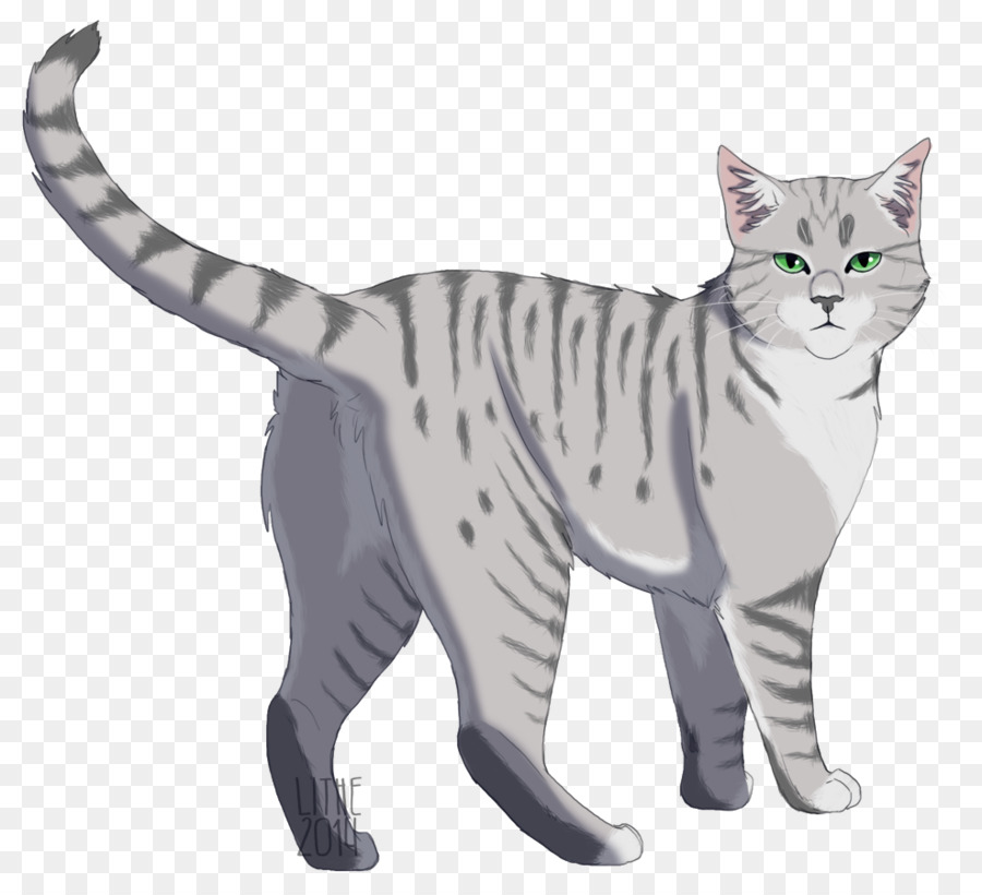 Chat Gris，Animal De Compagnie PNG