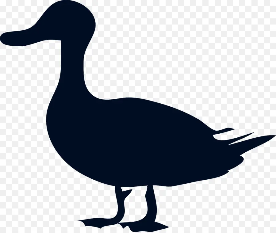 Canard Noir，Silhouette PNG