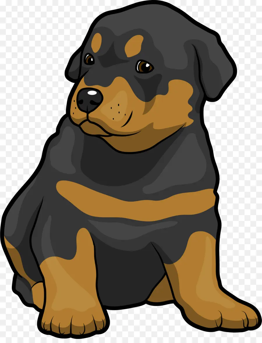 Chiot Rottweiler De Dessin Animé，Rottweiler PNG