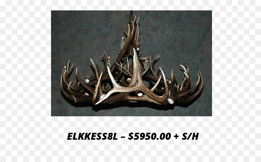 L Andouiller，Elk PNG