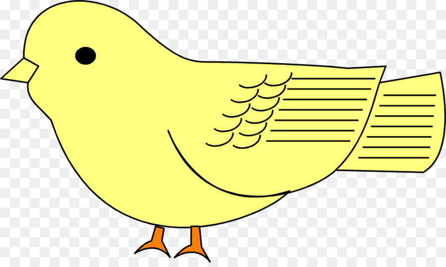 Canard，Oiseau PNG