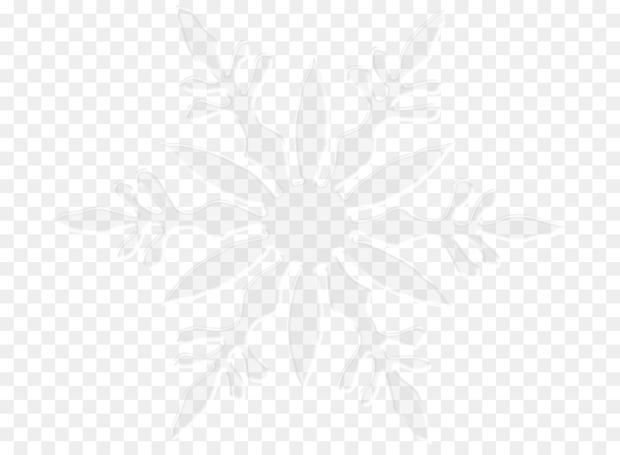 Motif Floral Blanc，Conception PNG