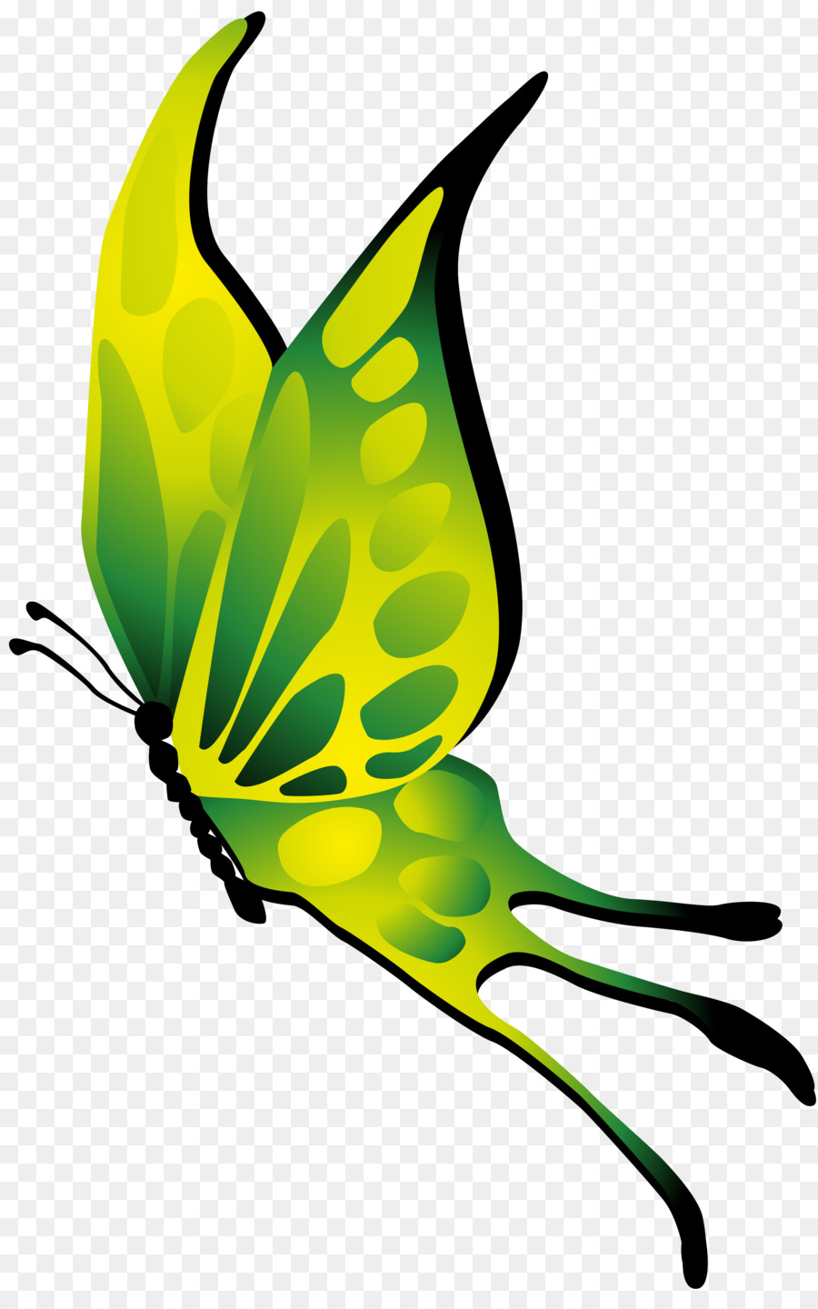 Papillon，Ailes PNG