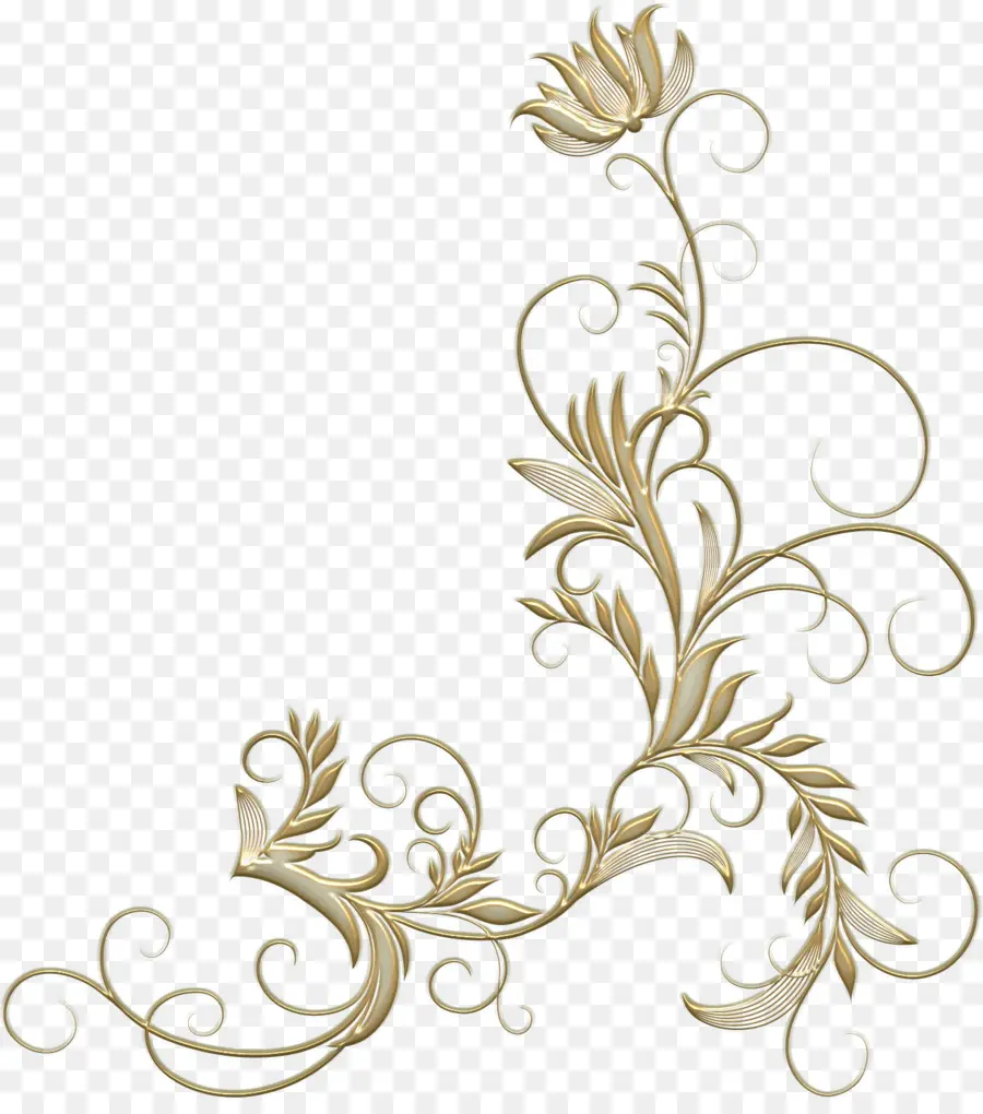 Motif Floral，Décoration PNG