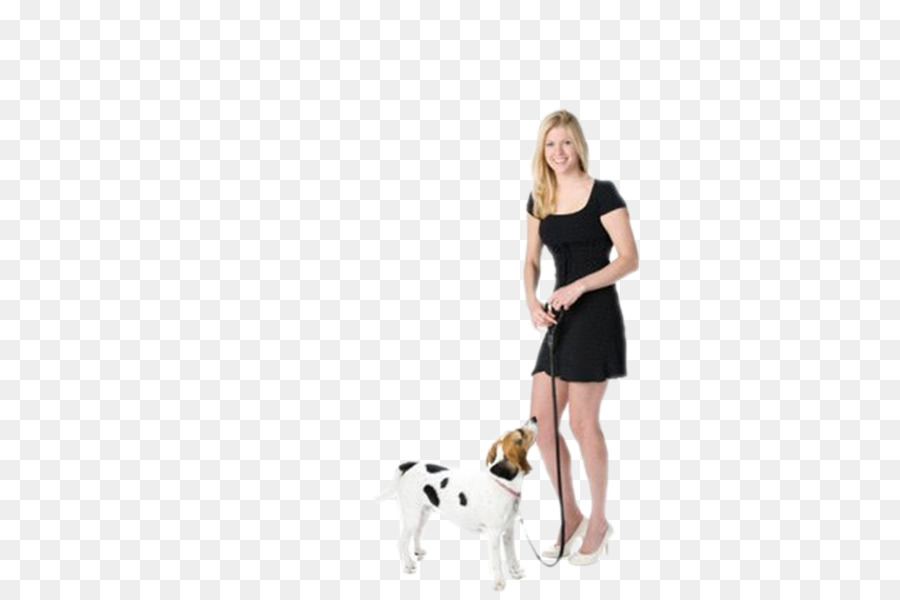 Femme Avec Chien，Animal De Compagnie PNG