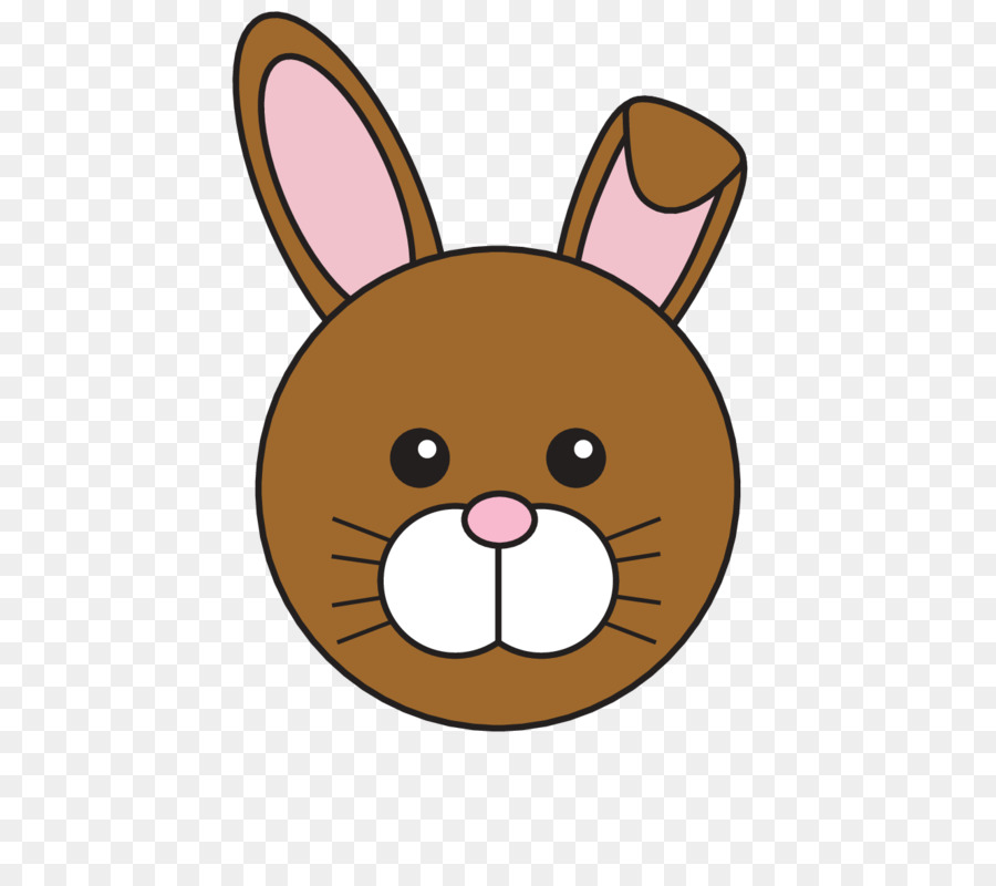 Visage De Lapin，Lapin PNG