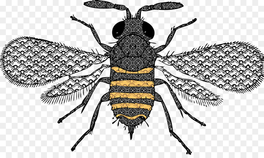 Abeille，L Abeille à Miel PNG