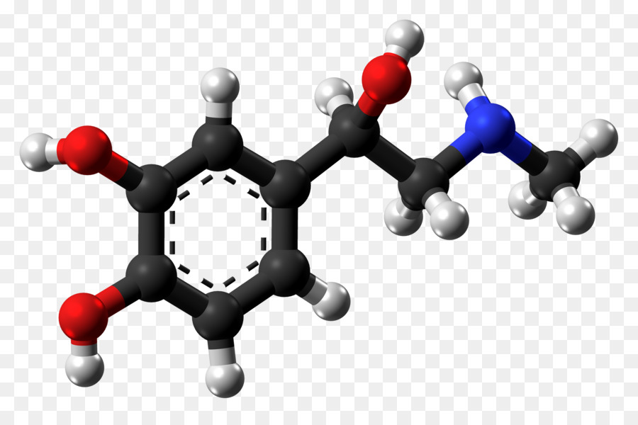 Benzocaïne，Molécule PNG