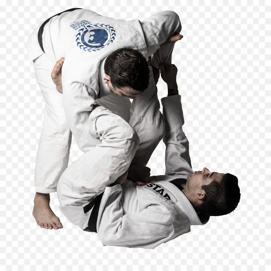 Artistes Martiaux，Jiu Jitsu PNG