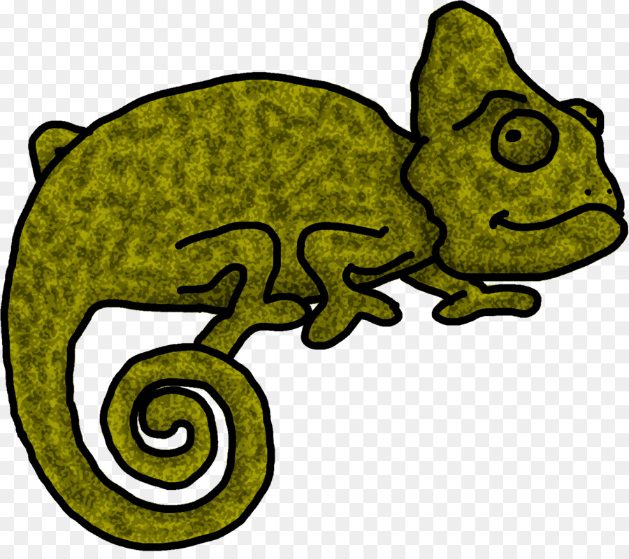 Grenouille，Vrai Grenouille PNG