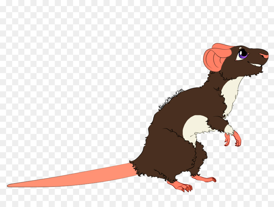 Rat，Dessin Animé PNG