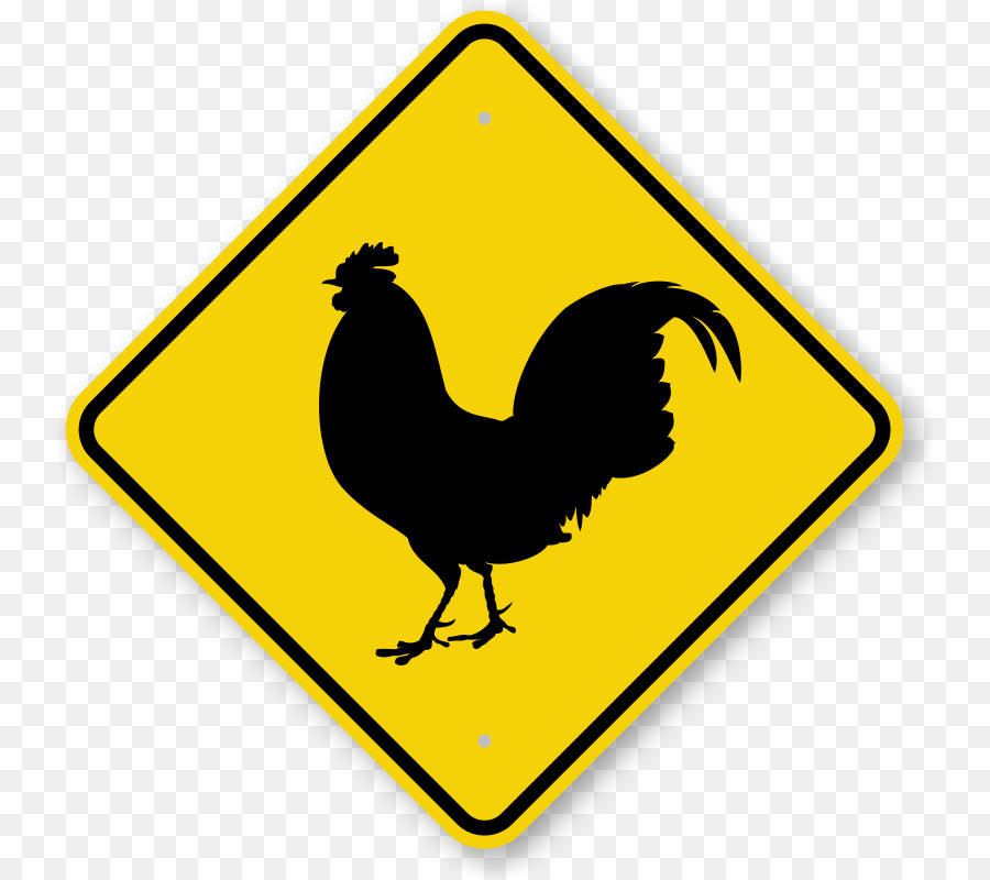 Coq，Jaune PNG