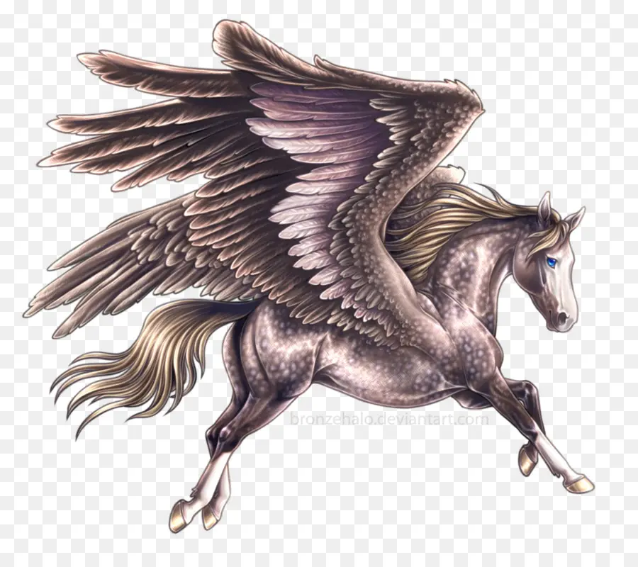 Pegasus，Les Chevaux Volants PNG
