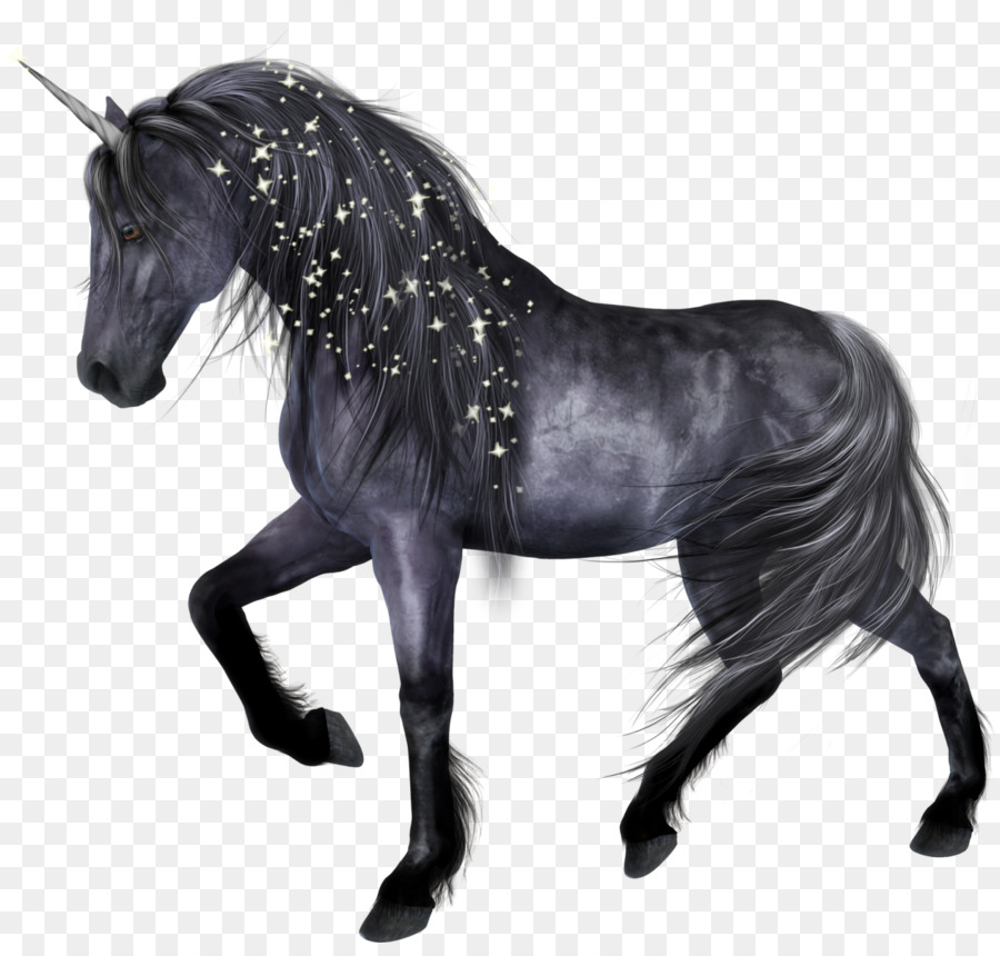 Licorne Noire，Licorne PNG