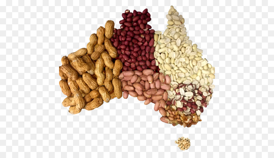 Cacahuètes，Noix PNG