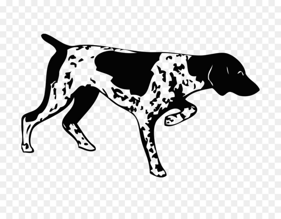 Dalmatien，Chien PNG