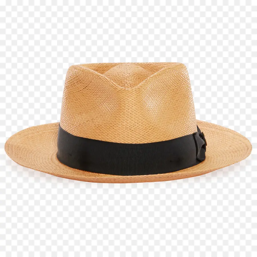 Fedora，Trilby PNG