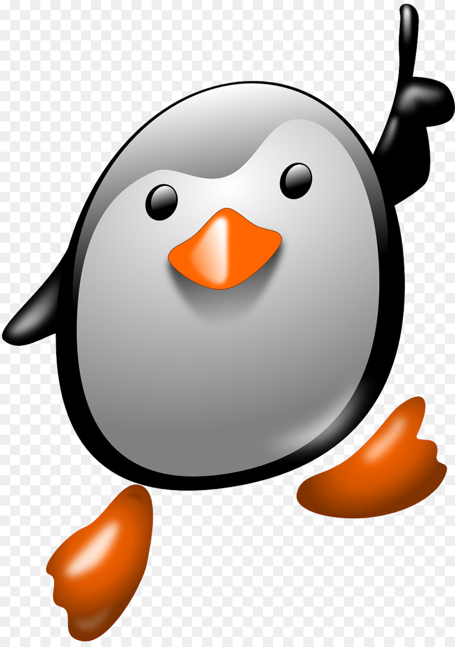 Pingouin De Dessin Animé，Oiseau PNG