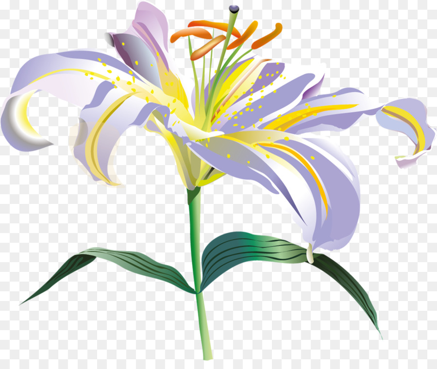 Fleur，Lys PNG
