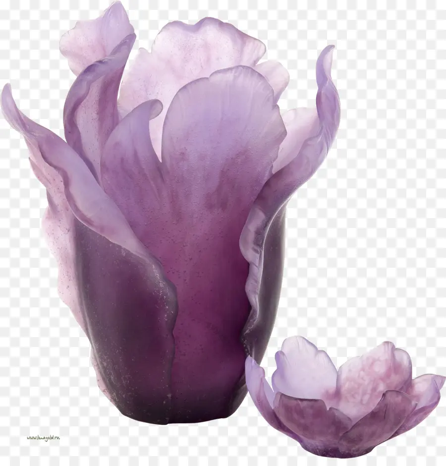 Vase à Fleurs Violet，Fleur PNG