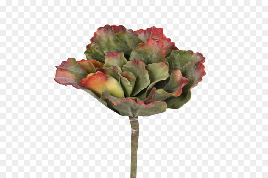 Fleur，Les Fleurs Coupées PNG