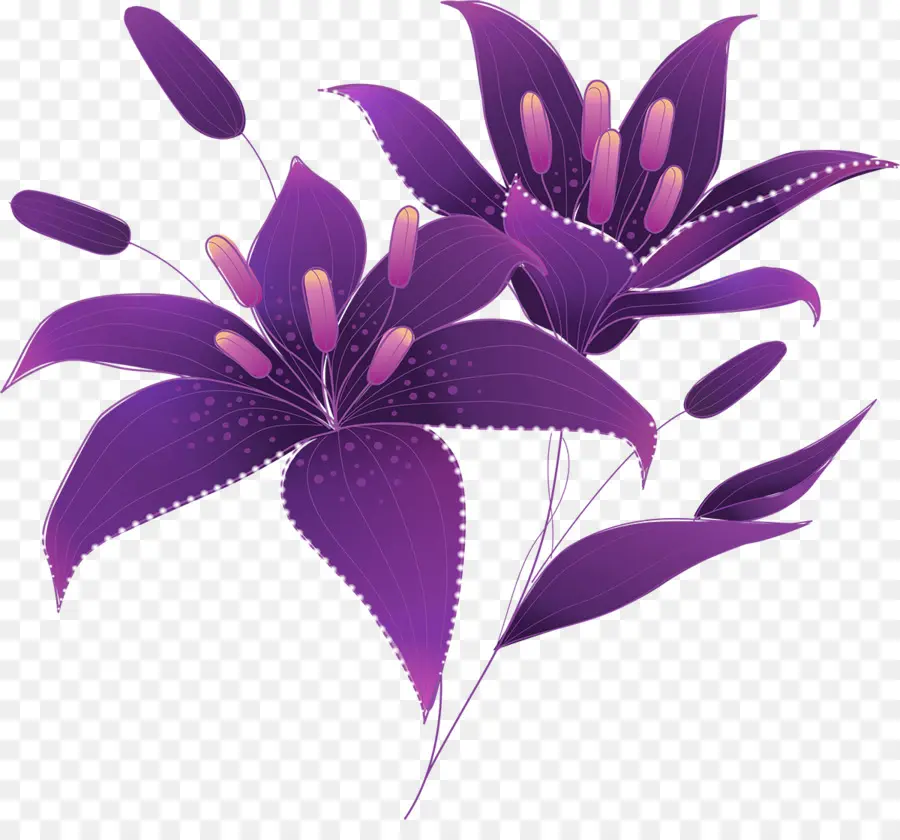 Fleurs Violettes，Fleurir PNG