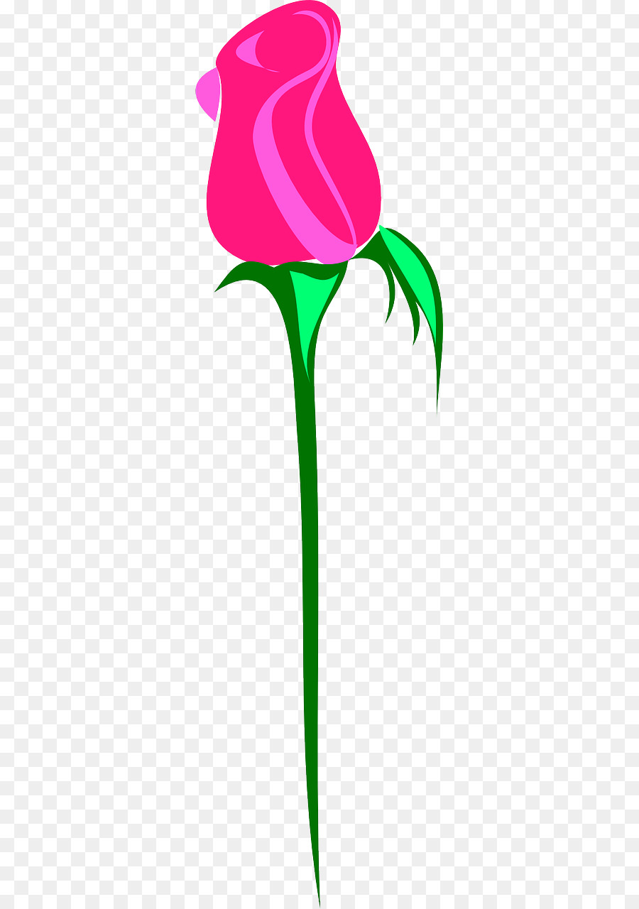 Rose，Tige PNG