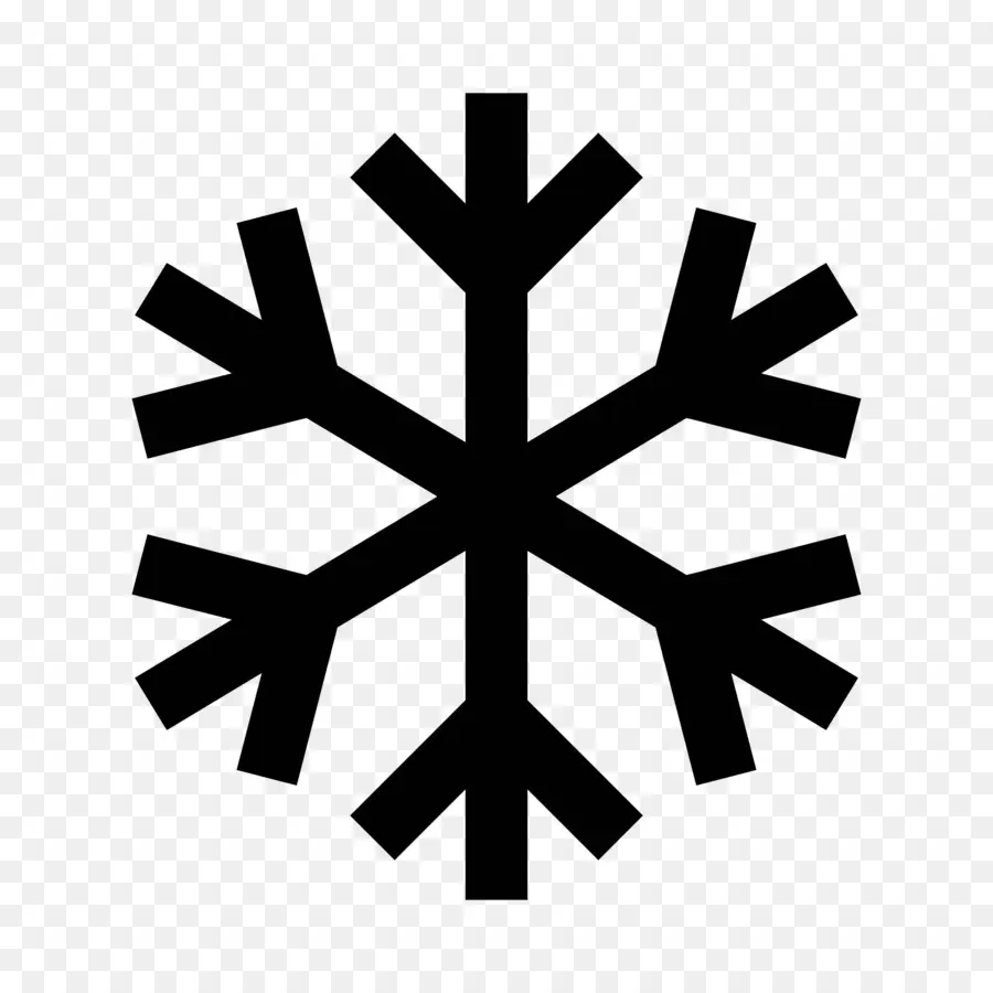 Flocon De Neige，Hiver PNG