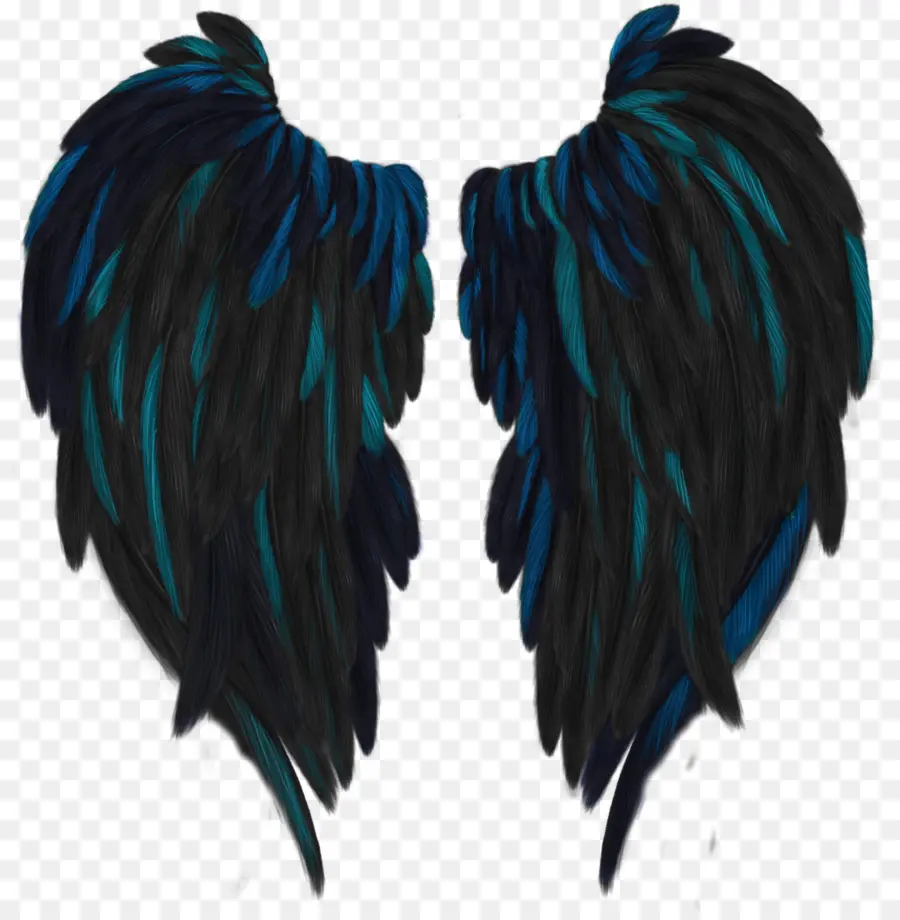 Ailes Noires Et Bleues，Plumes PNG