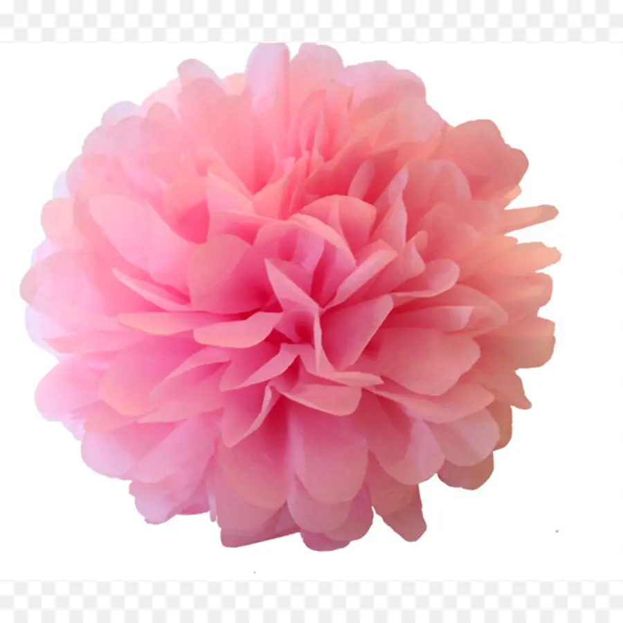 Fleur Rose，Décoration PNG