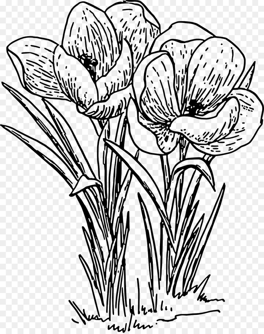 Fleurs，Plantes PNG