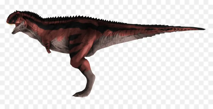 Dinosaures，Reptile PNG